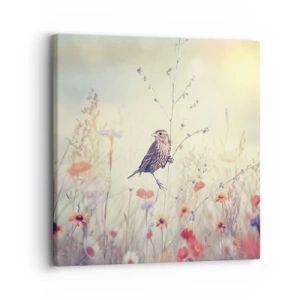 Bild auf Leinwand - Leinwandbild - Vogelporträt mit einer Wiese im Hintergrund - 30x30 cm