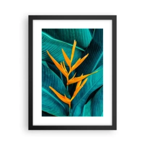 Poster in einem schwarzem Rahmen - Eden-Blume - 30x40 cm