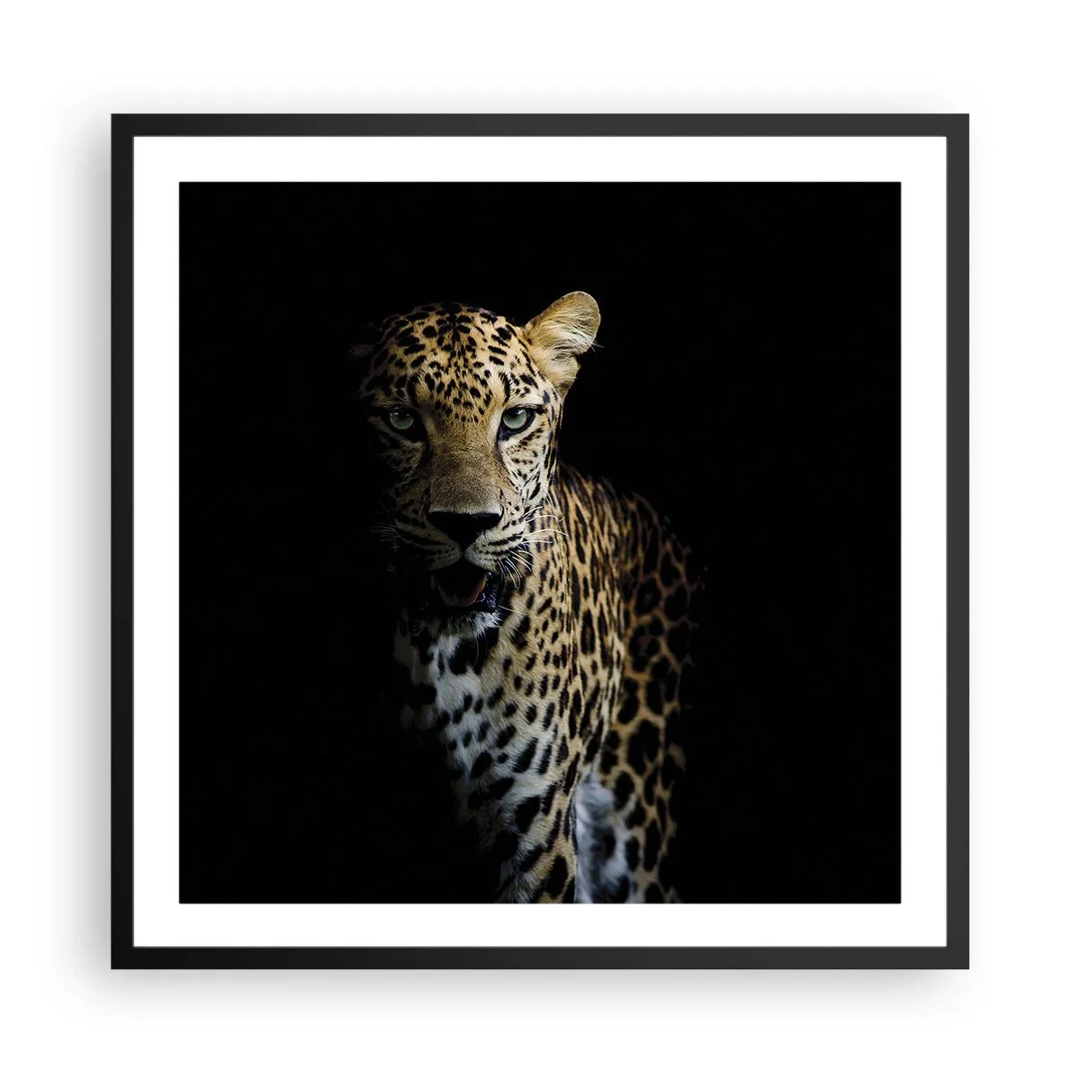 Poster in einem schwarzem Rahmen - Dunkle Schönheit - 60x60 cm