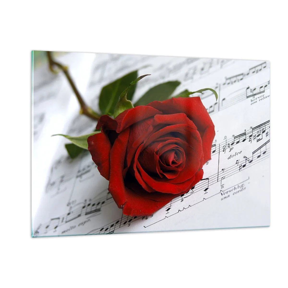 Glasbild - Bild auf glas - Eine rote Rose vor einem Hintergrund aus Musiknoten - 120x80cm - Musik der Gefühle in Scharlach - Moderne Wanddekoration für Wohnzimmer und Schlafzimmer ARTTOR