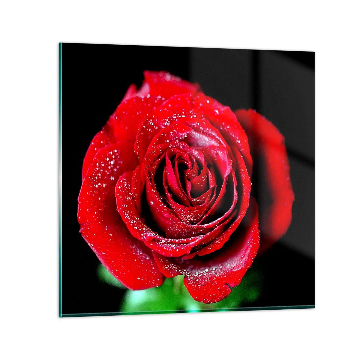 Glasbild - Bild auf glas - Das ist Liebe - 50x50 cm