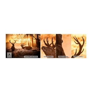 Fototapeten Muster Selbstklebend Deluxe Sticker - Der Traum eines Jägers - Landschaft, Reh, Jagd - 100x30 cm