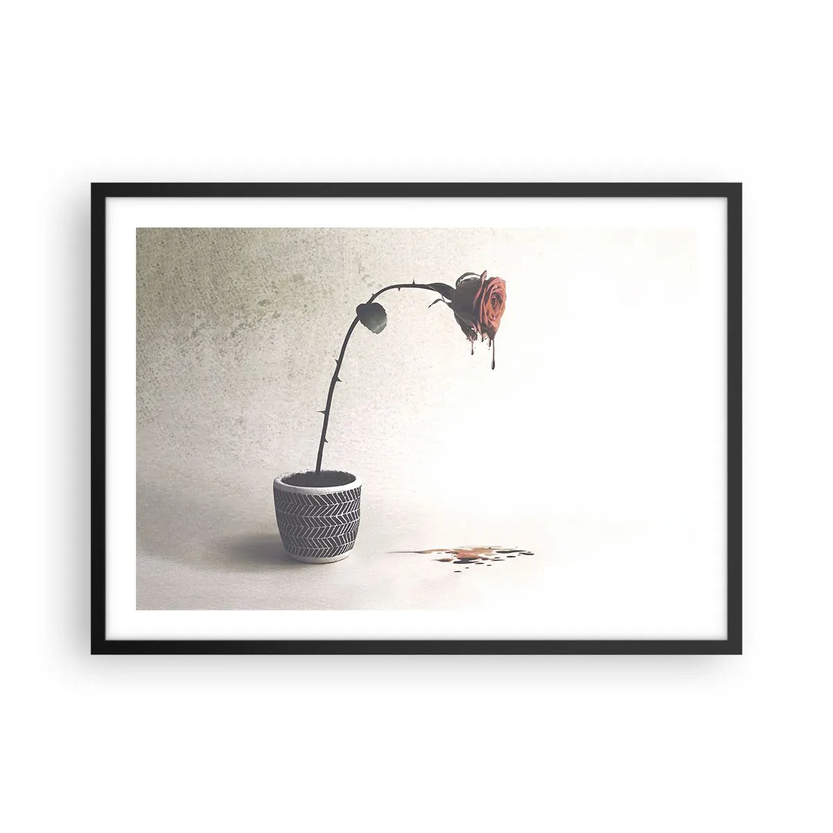 Poster in einem schwarzem Rahmen - Eine rote Rose in einem Topf mit Farbtropfen auf weißem Hintergrund - 70x50cm - Rosa dolorosa - Moderne Wanddekoration für Wohnzimmer und Schlafzimmer ARTTOR