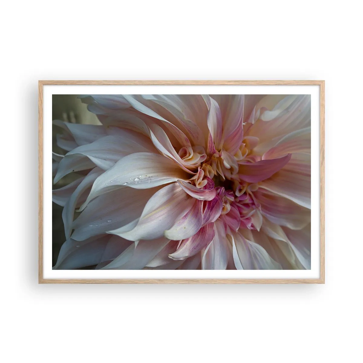 Poster in einem Rahmen aus heller Eiche - Blühende Frische - 100x70 cm