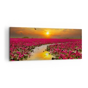 Bild auf Leinwand - Leinwandbild - Ein Feld mit rosa Seerosen bei Sonnenuntergang - 120x50cm - Das geheime Leben des Sees - Moderne Wanddekoration für Wohnzimmer und Schlafzimmer ARTTOR