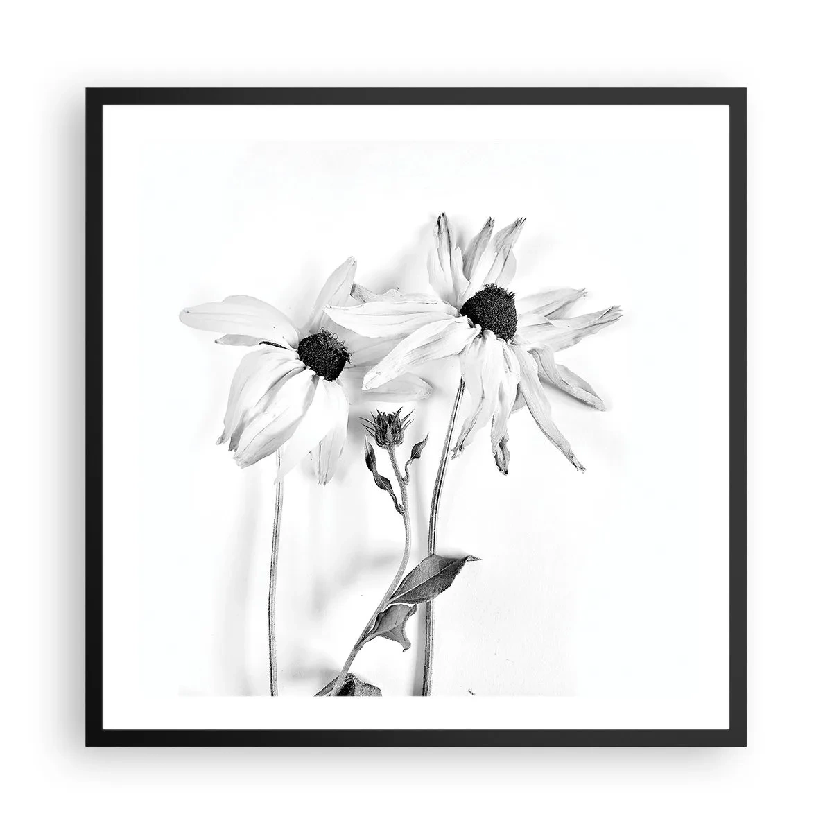 Poster in einem schwarzem Rahmen - Niemand will allein sein - 60x60 cm