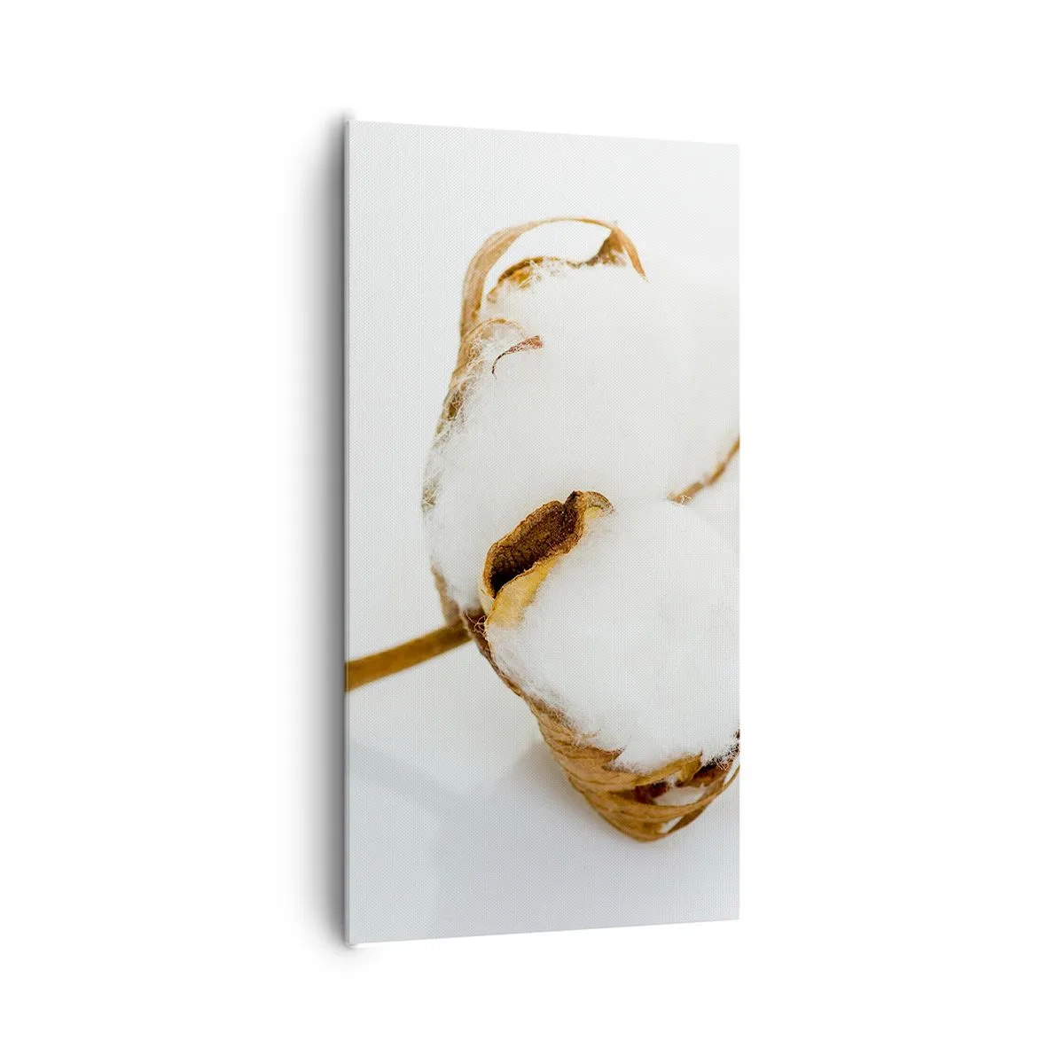 Bild auf Leinwand - Leinwandbild - Von Natur aus weich - 65x120 cm