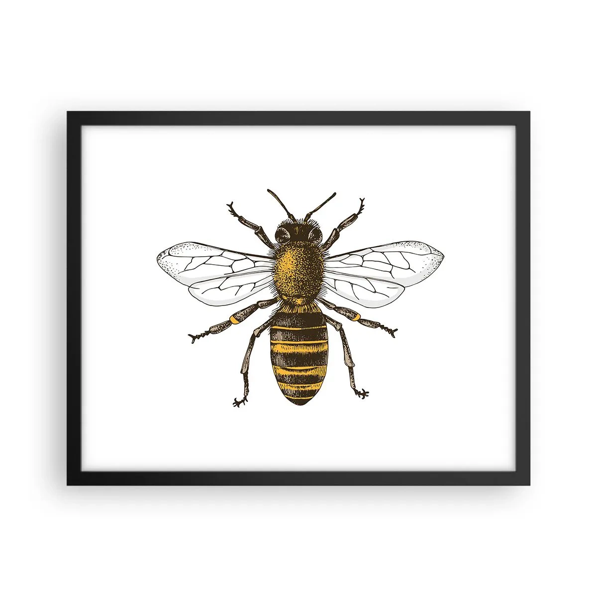 Poster in einem schwarzem Rahmen - Schön und gut - 50x40 cm