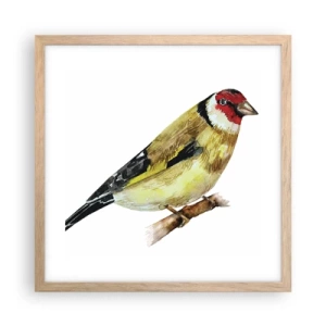 Poster in einem Rahmen aus heller Eiche - Vogelporträt - 40x40 cm
