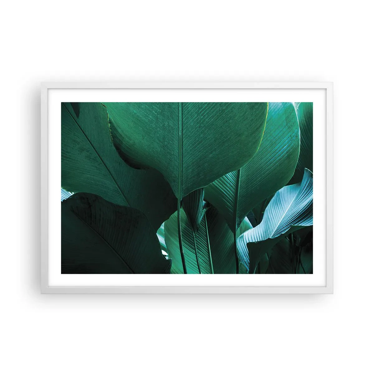 Poster in einem weißen Rahmen - Dem Licht zugewandt - 70x50 cm