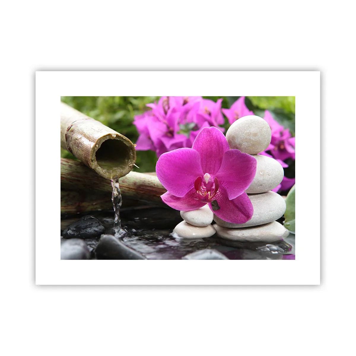 Poster - Du ruhst dich schon aus - 40x30 cm