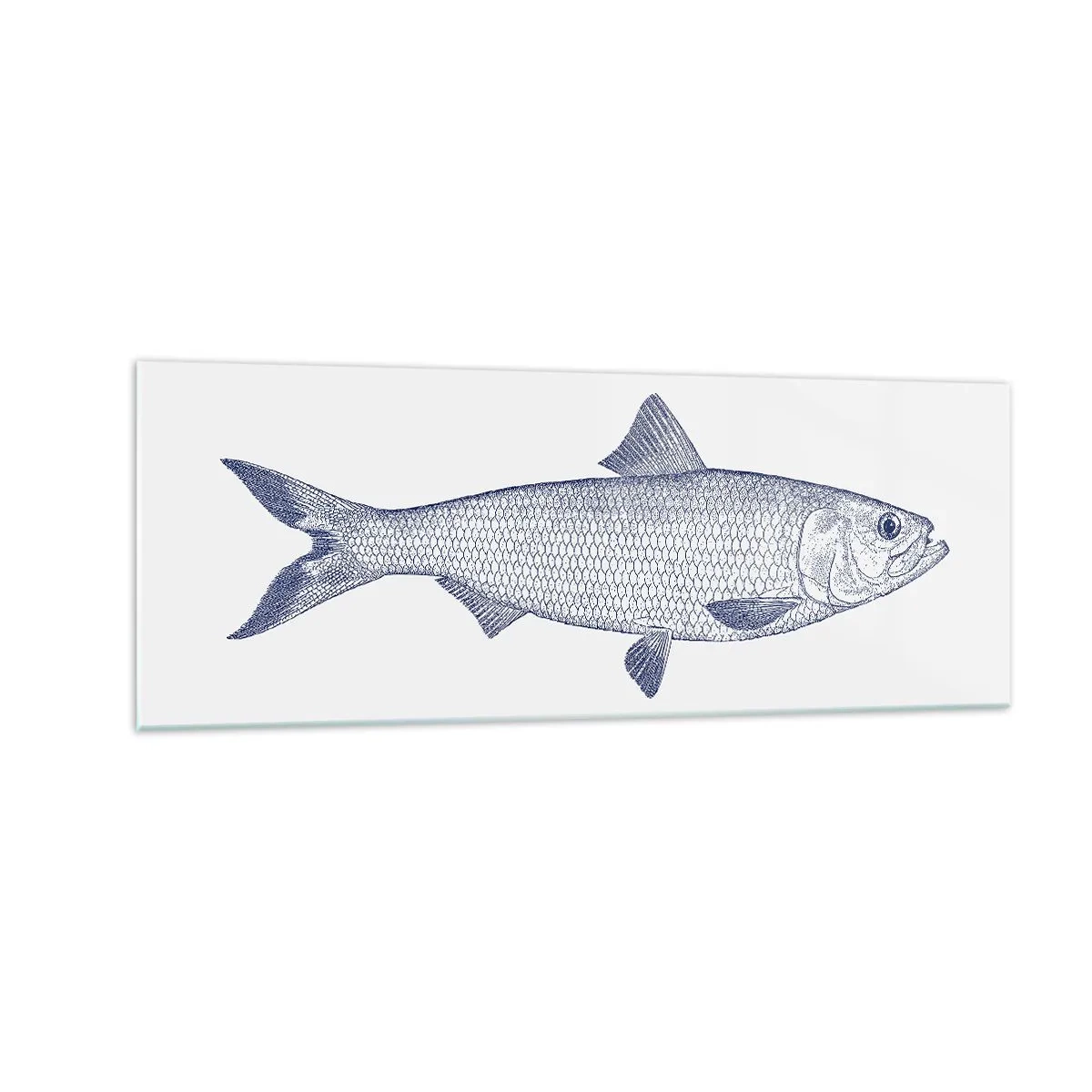 Glasbild - Bild auf glas - Illustration eines Fisches in Blautönen auf hellem Hintergrund - 140x50cm - Grüße aus den nördlichen Meeren - Moderne Wanddekoration für Wohnzimmer und Schlafzimmer ARTTOR