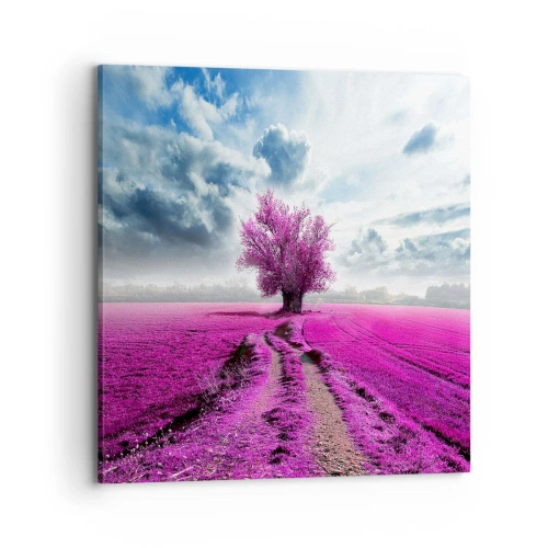 Bild auf Leinwand - Leinwandbild - Heide - Wildnis - 70x70 cm