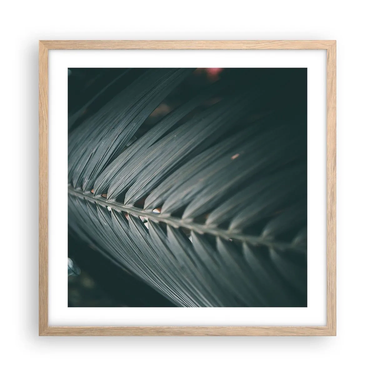 Poster in einem Rahmen aus heller Eiche - Die Präzision der Natur - 50x50 cm