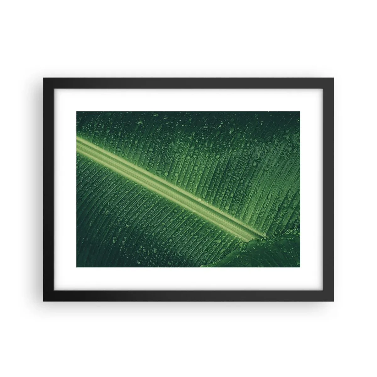 Poster in einem schwarzem Rahmen - Die Struktur des Grüns - 40x30 cm