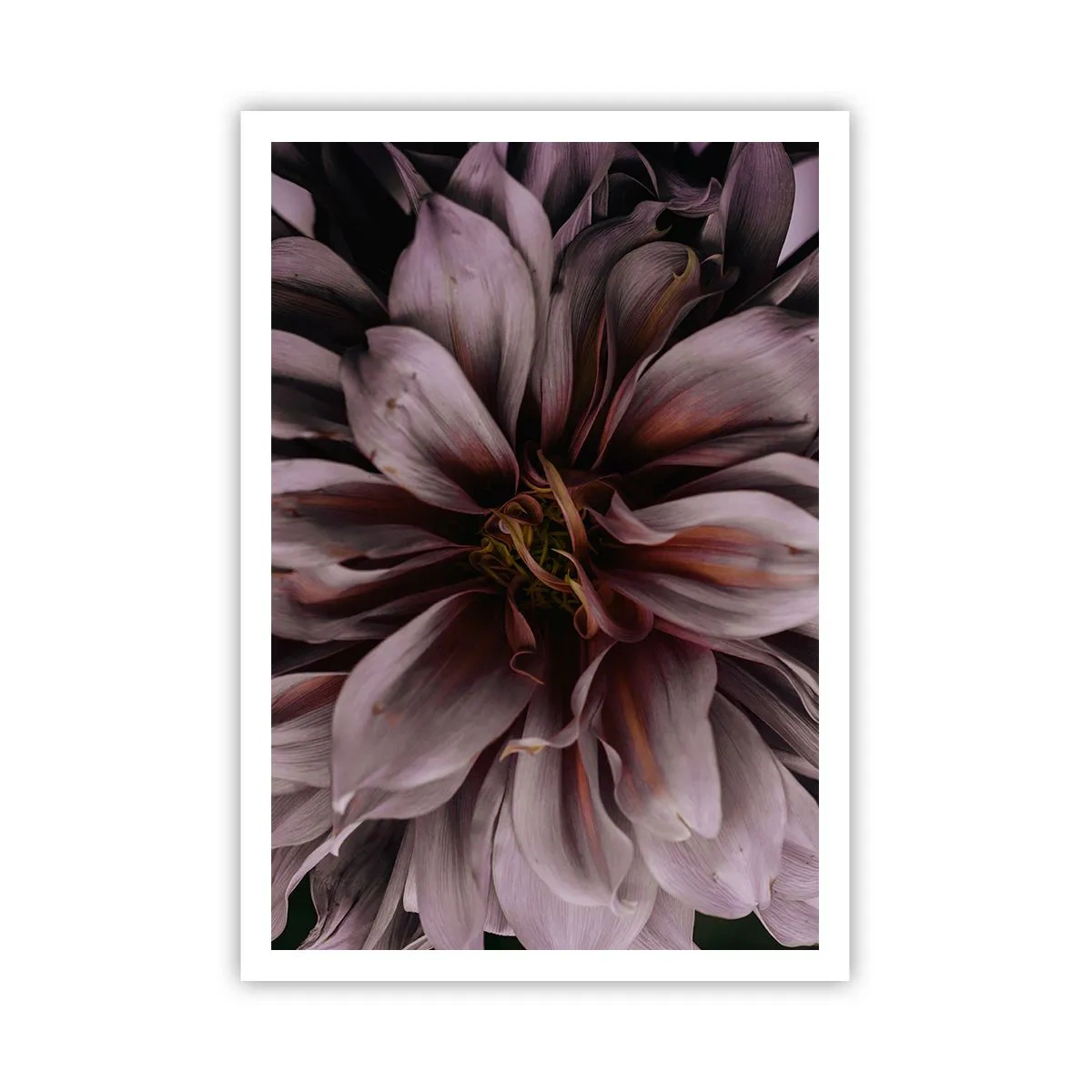 Poster - Ein Blumenherz - 70x100 cm