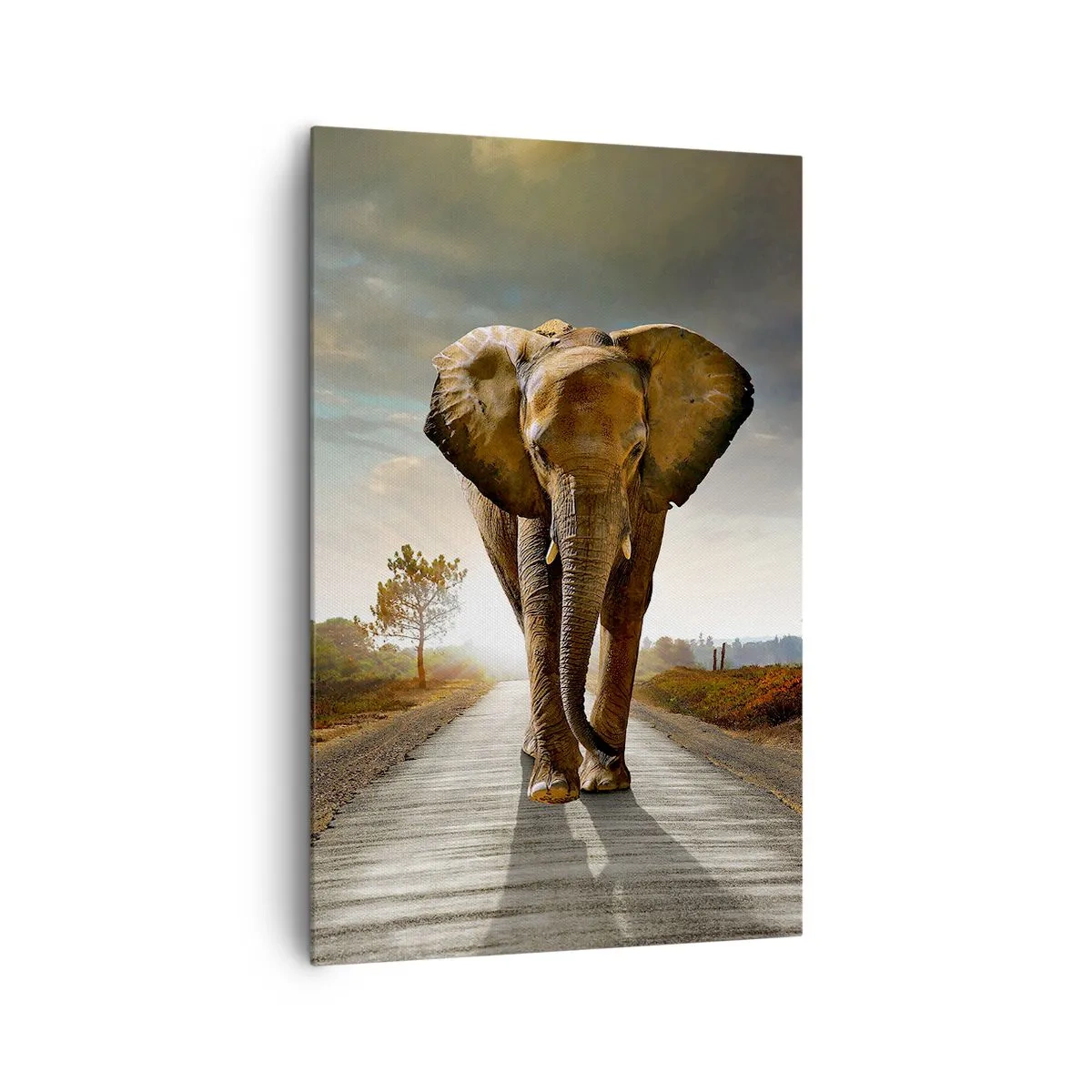 Bild auf Leinwand - Leinwandbild - Ein Elefant, der bei Sonnenuntergang auf einer Straße durch eine Landschaft läuft - 80x120cm - Und schon gar nicht in einem Porzellanlager - Moderne Wanddekoration für Wohnzimmer und Schlafzimmer ARTTOR