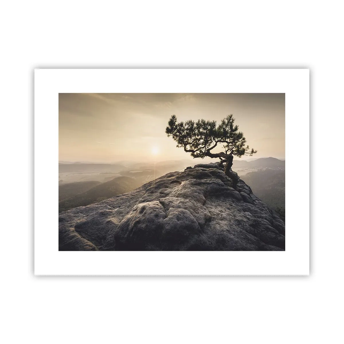 Poster - Das Leben gewinnt immer - 40x30 cm