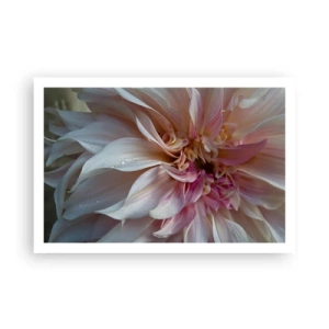 Poster - Blühende Frische - 91x61 cm