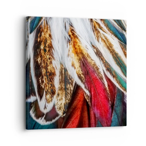 Bild auf Leinwand - Leinwandbild - Geheimnisse des Fliegens - 30x30 cm