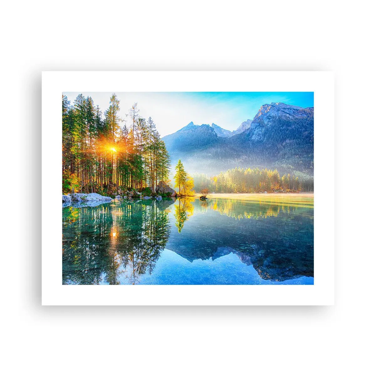 Poster - Majestät und Süße - 50x40 cm