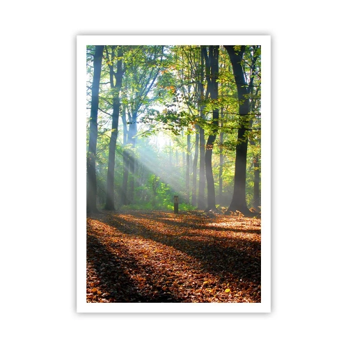 Poster - Licht und Schatten - 70x100 cm