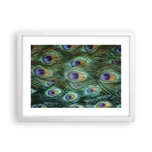 Poster in einem weißen Rahmen - Ein Blick mit Pfauenaugen - 40x30 cm
