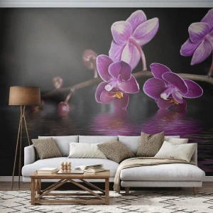 Selbstklebende Fototapete Deluxe Sticker - Lila Spiegelbild der Schönheit - Blumen, Orchidee, Natur - 450x315 cm