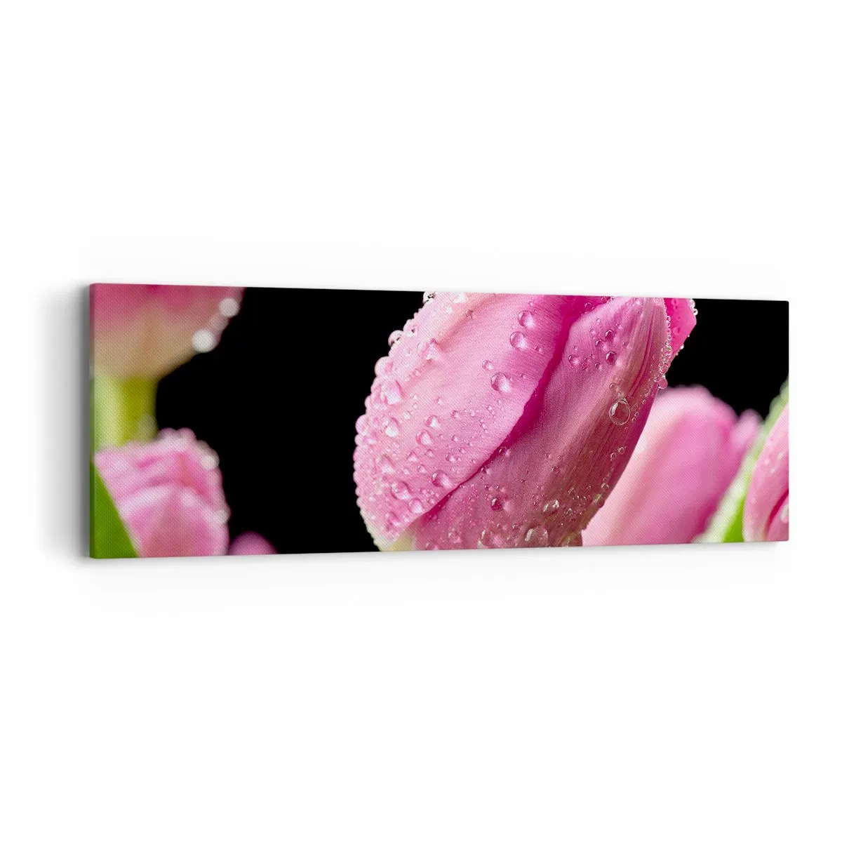 Bild auf Leinwand - Leinwandbild - Lila Traum im Tau - 90x30 cm