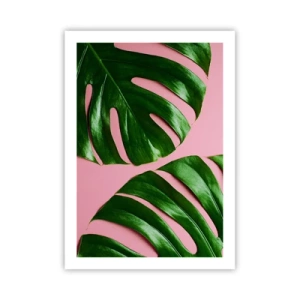 Poster - Monstera-Blätter auf rosa Hintergrund im minimalistischen Stil - 50x70cm - Rendezvous im Grünen - Moderne Wanddekoration für Wohnzimmer und Schlafzimmer ARTTOR