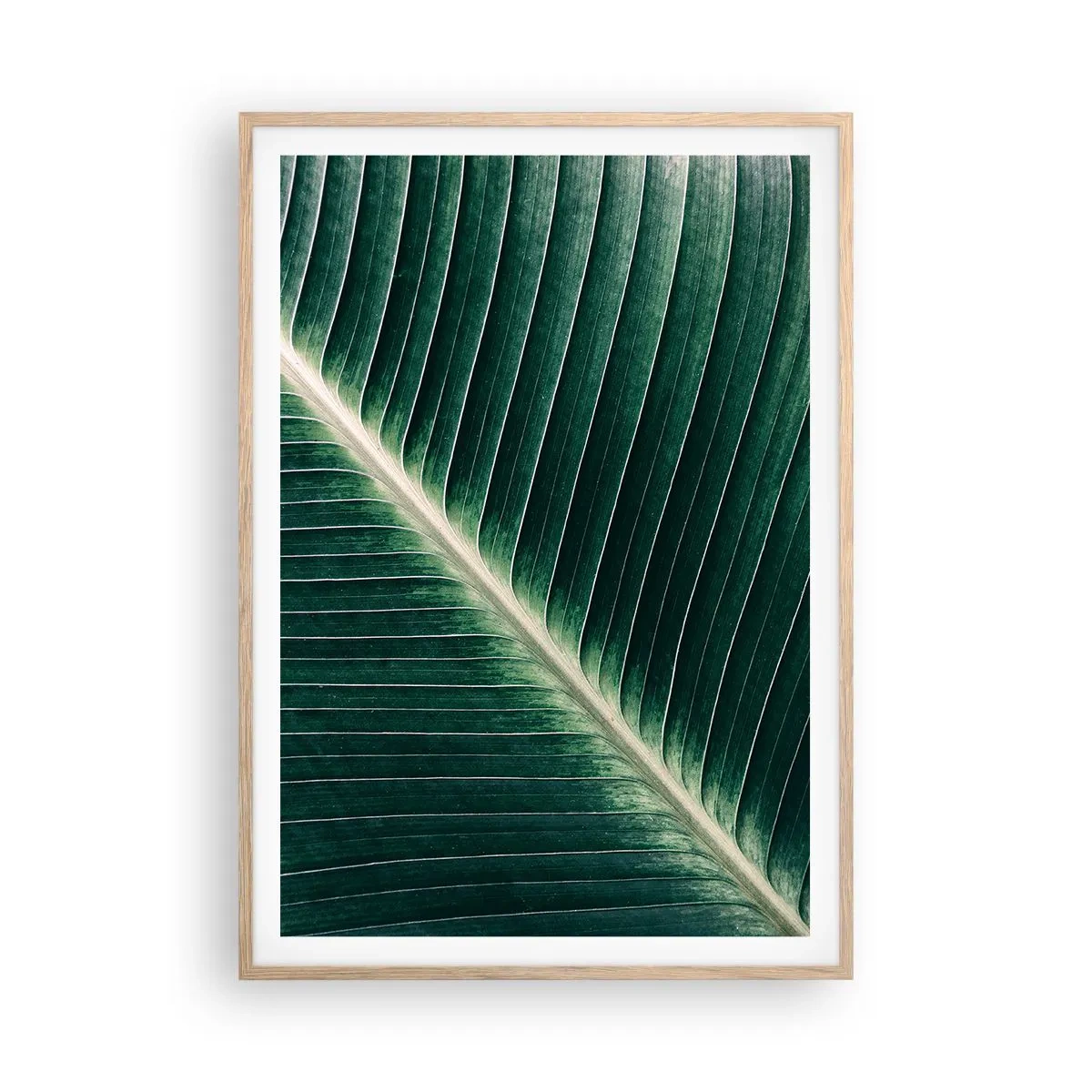Poster in einem Rahmen aus heller Eiche - Rhythmus der Natur - 70x100 cm