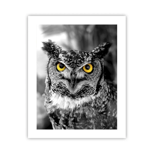 Poster - Nichts wird sich verstecken - 40x50 cm