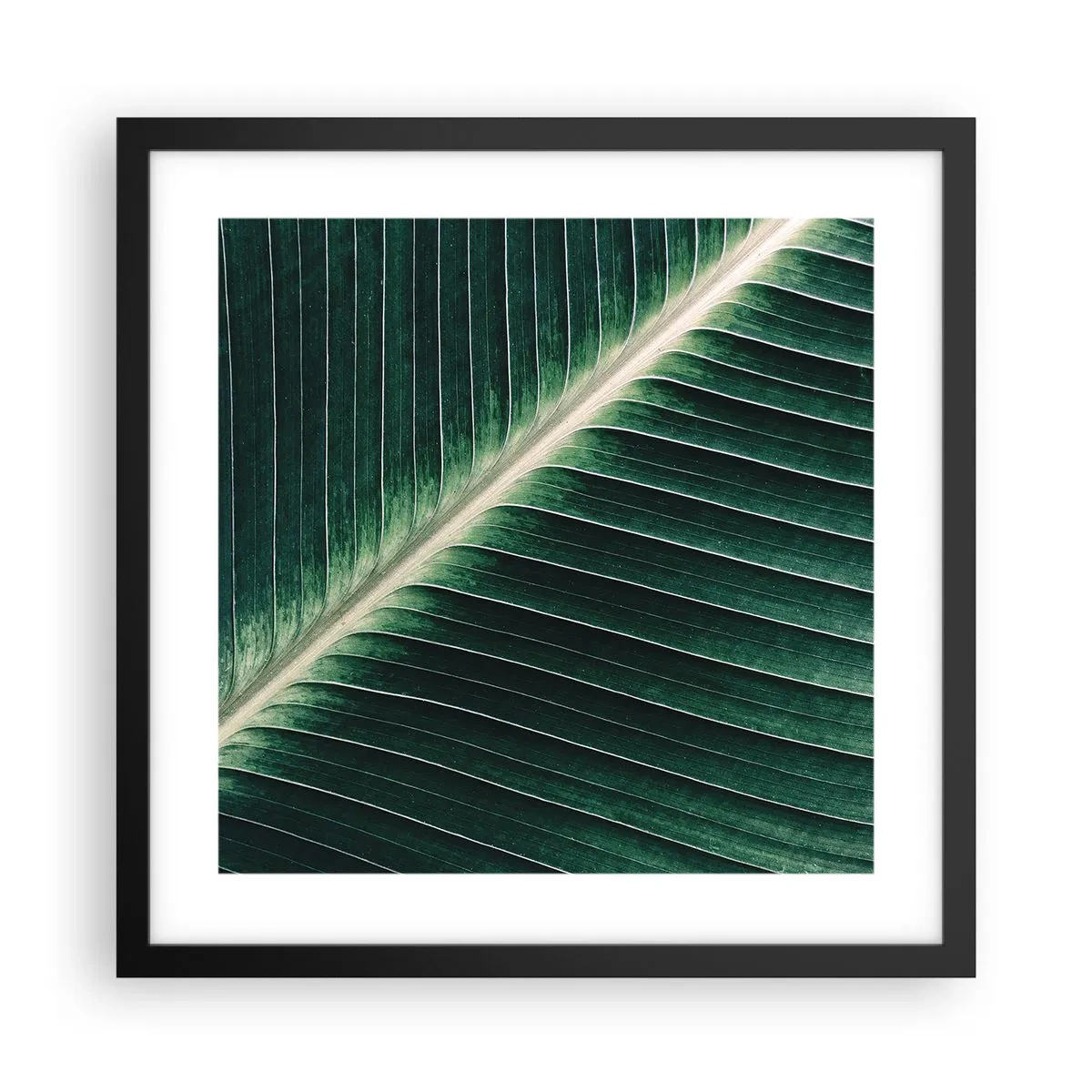 Poster in einem schwarzem Rahmen - Rhythmus der Natur - 40x40 cm