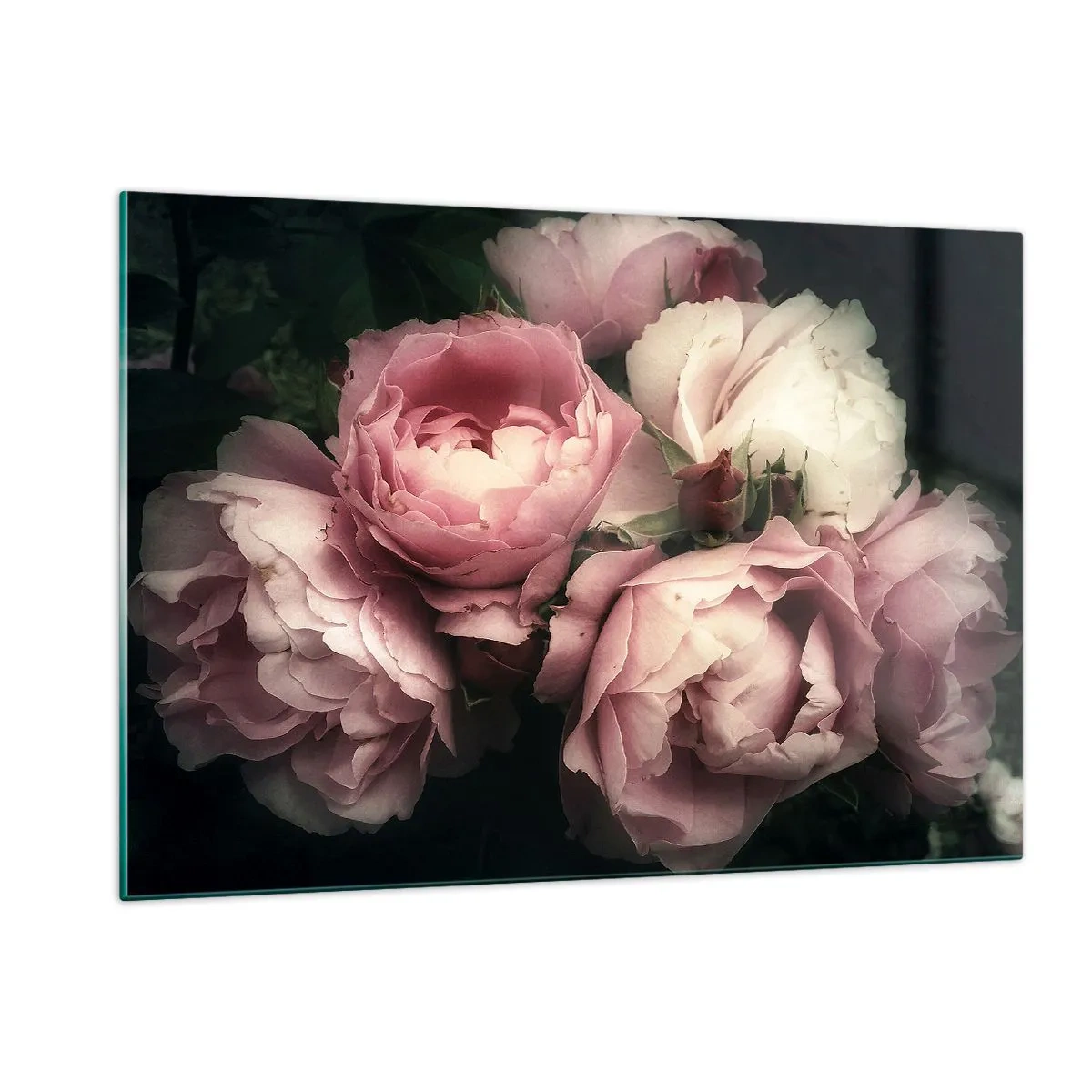 Glasbild - Bild auf glas - Ein Strauß rosa Rosen in sanfter Beleuchtung mit Vintage-Touch - 120x80cm - Der Charme der Belle Epoque - Moderne Wanddekoration für Wohnzimmer und Schlafzimmer ARTTOR
