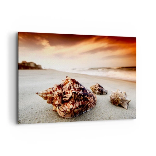 Bild auf Leinwand - Leinwandbild - Muscheln am Strand bei Sonnenuntergang - 100x70cm - Ausgestoßene von Wellen - Moderne Wanddekoration für Wohnzimmer und Schlafzimmer ARTTOR
