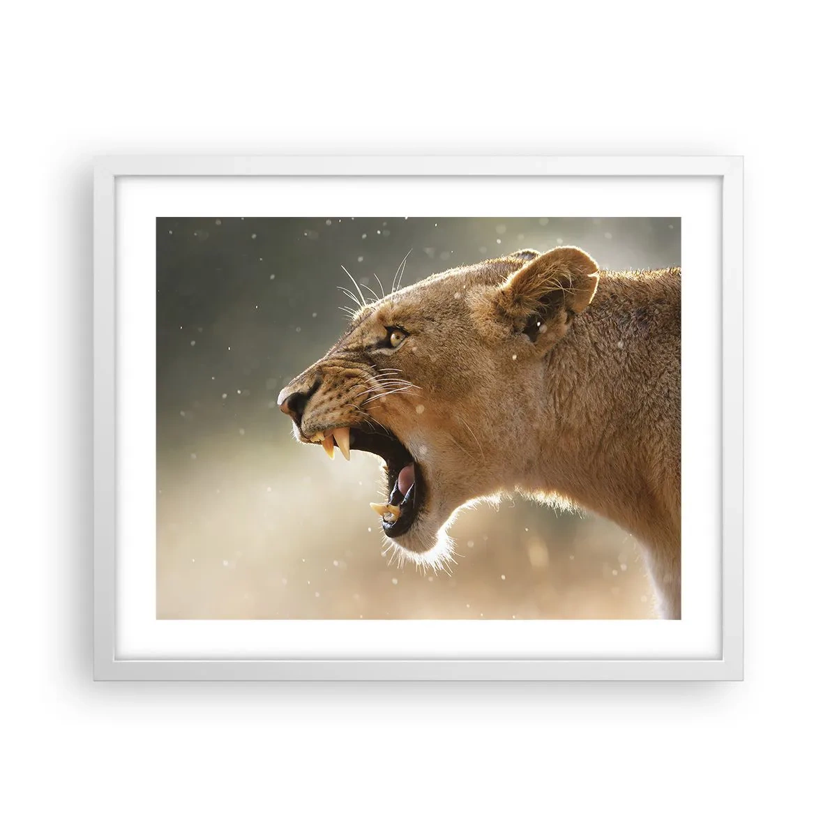 Poster in einem weißen Rahmen - Versuch, nicht zuzuhören - 50x40 cm