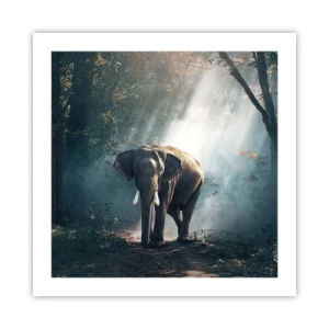 Poster - Ein gemütlicher Spaziergang - 50x50 cm