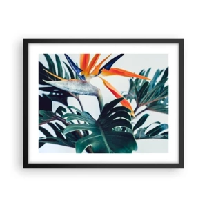 Poster in einem schwarzem Rahmen - Vogelbusch - 50x40 cm