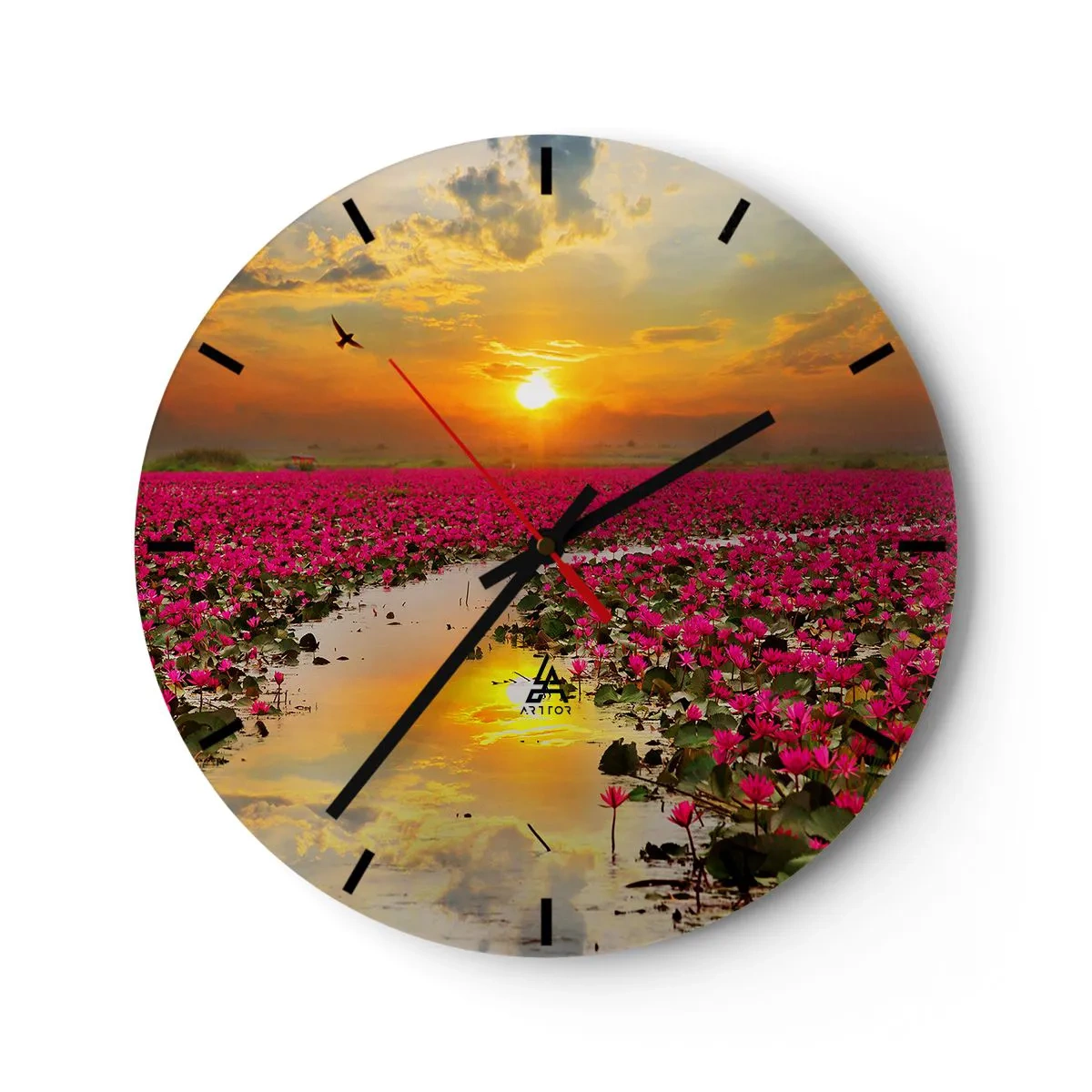 Wanduhr - Glasuhr - Ein Feld mit rosa Lotusblumen bei Sonnenuntergang - 30x30cm - Das geheime Leben des Sees - Moderne Wanddekoration für Wohnzimmer, Küche und Schlafzimmer ARTTOR