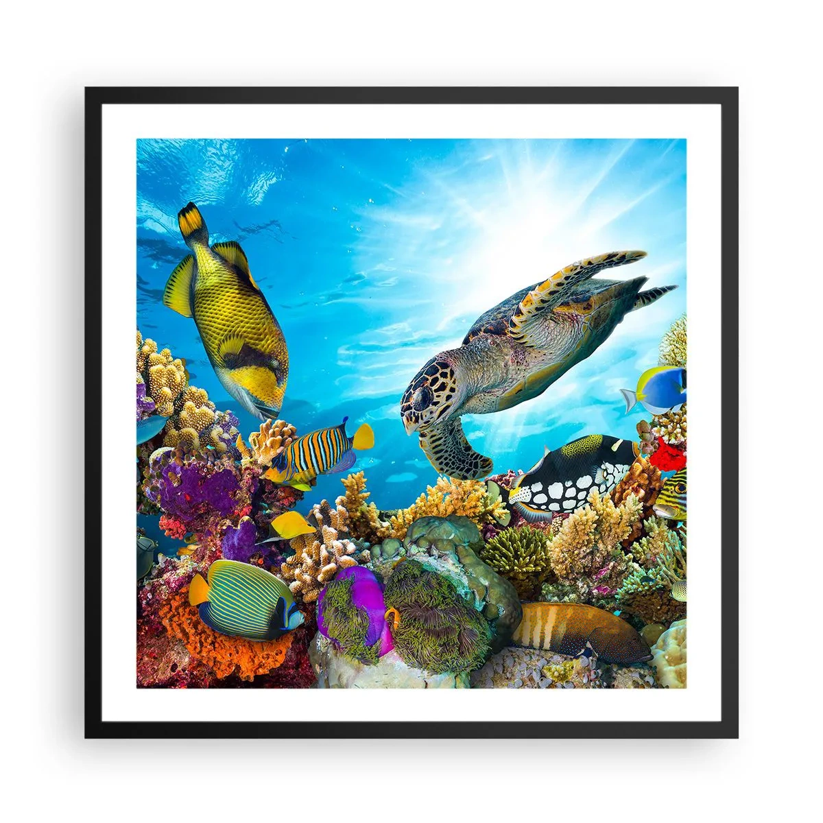 Poster in einem schwarzem Rahmen - Korallenpromenade - 60x60 cm