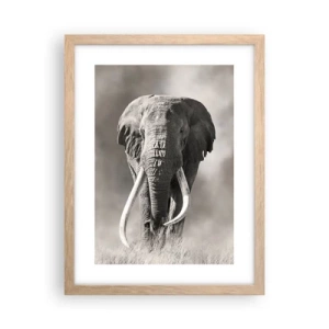 Poster in einem Rahmen aus heller Eiche - Afrikanischer Patriarch - 30x40 cm