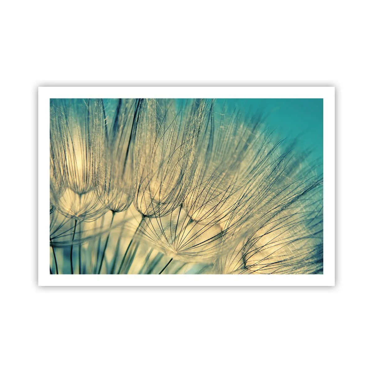 Poster - In Erwartung des Windes - 91x61 cm