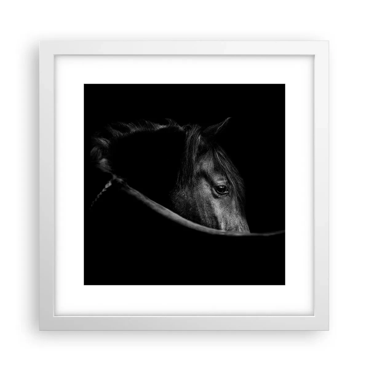 Poster in einem weißen Rahmen - Schwarzer Prinz - 30x30 cm