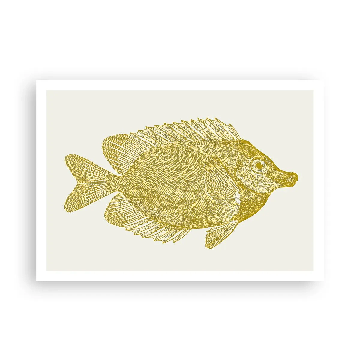 Poster - Vintage Goldfisch auf hellem Hintergrund - 100x70cm - Fisch und das war’s - Moderne Wanddekoration für Wohnzimmer und Schlafzimmer ARTTOR