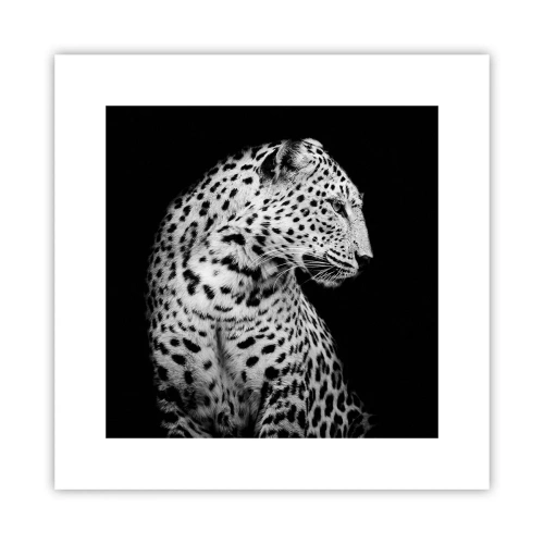 Poster - Rechtes Profil perfekt! - 30x30 cm