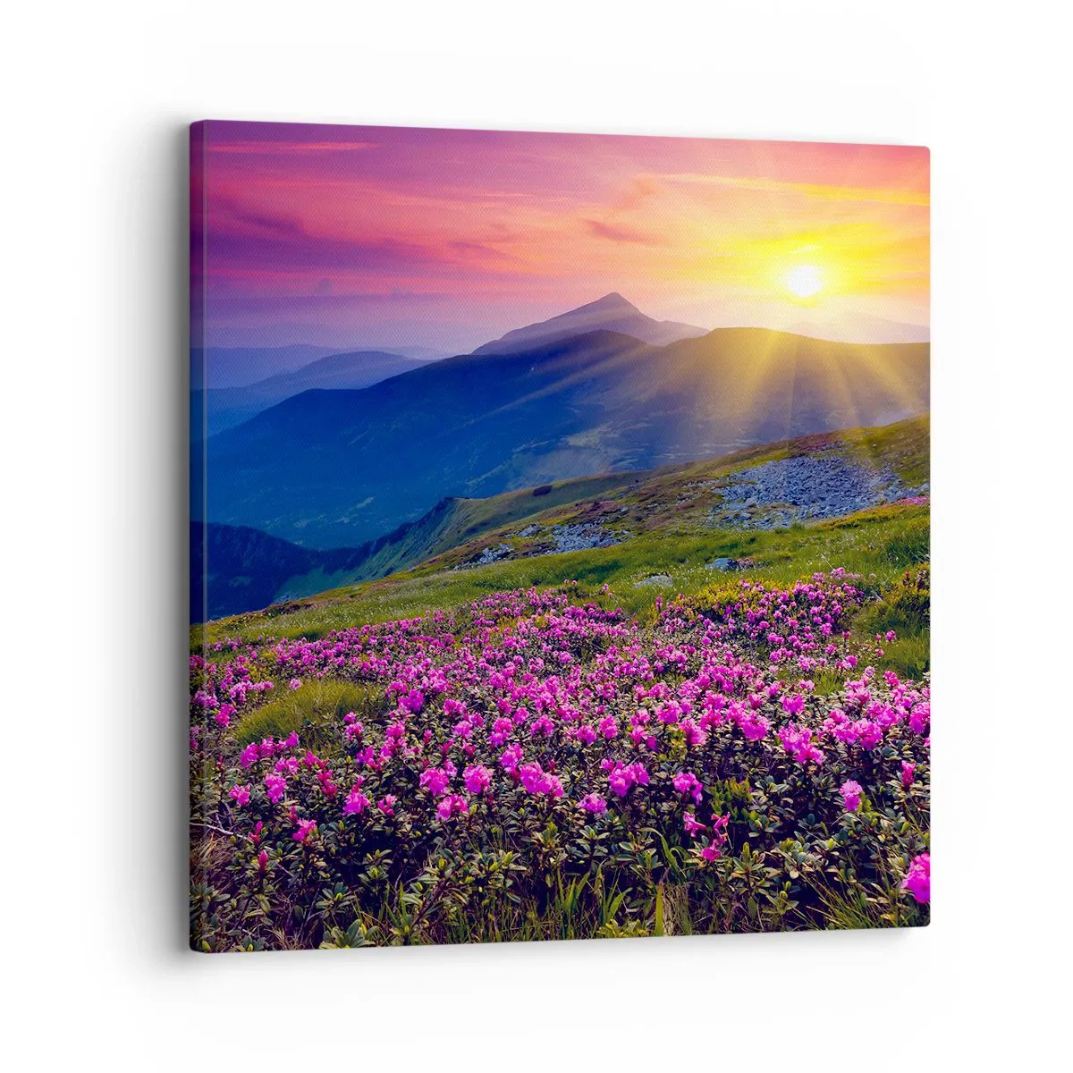 Bild auf Leinwand - Leinwandbild - … Und drumherum duftet es nach Latschenkiefer und dem Duft von Kräutern - 30x30 cm