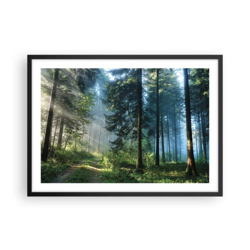 Poster in einem schwarzem Rahmen - Ein Waldweg, beleuchtet von den Strahlen der Morgensonne - 70x50cm - Strahlend am Morgen - Moderne Wanddekoration für Wohnzimmer und Schlafzimmer ARTTOR