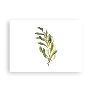 Poster - Alles was gut ist - 70x50 cm