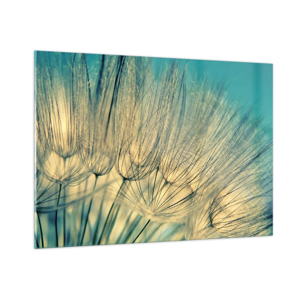 Glasbild - Bild auf glas - Makrofotografie eines Löwenzahns vor türkisfarbenem Hintergrund - 100x70cm - In Erwartung des Windes - Moderne Wanddekoration für Wohnzimmer und Schlafzimmer ARTTOR