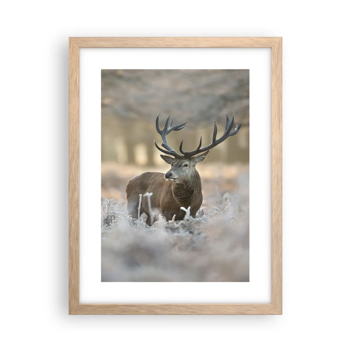 Poster in einem Rahmen aus heller Eiche - Ein flotter Morgen - 30x40 cm